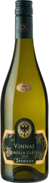 Vinnae
