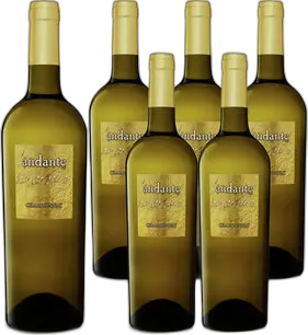2024 Andante Chardonnay